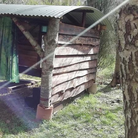 Sapphire forest garden shepherd’s hut Church Stretton Eksteriør billede
