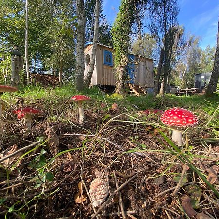 Sapphire forest garden shepherd’s hut Church Stretton Eksteriør billede