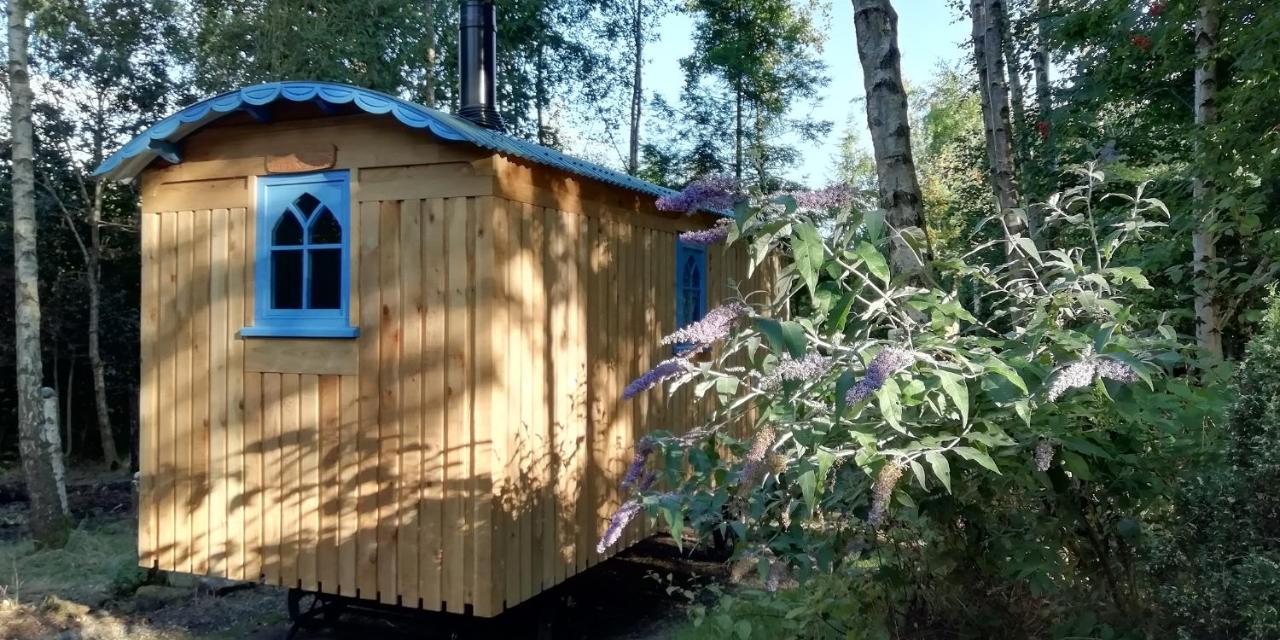 Sapphire forest garden shepherd’s hut Church Stretton Eksteriør billede