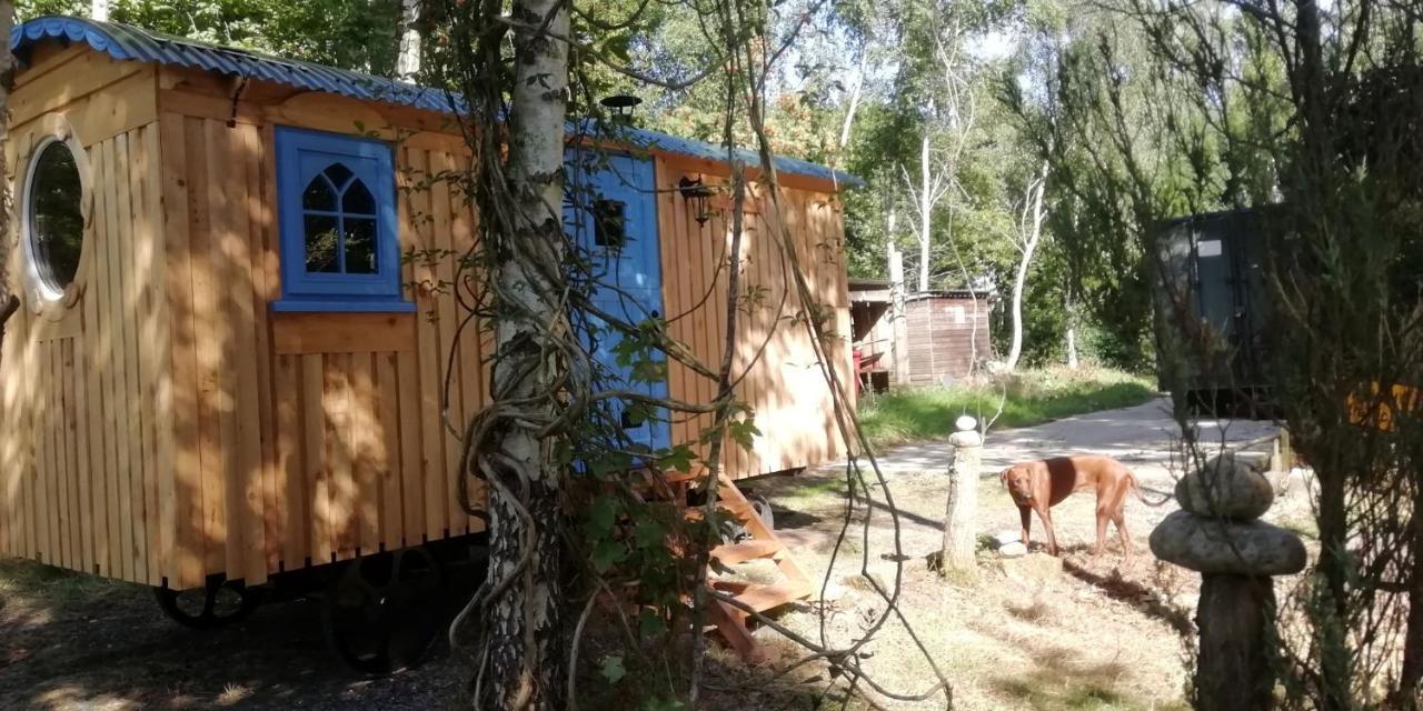Sapphire forest garden shepherd’s hut Church Stretton Eksteriør billede