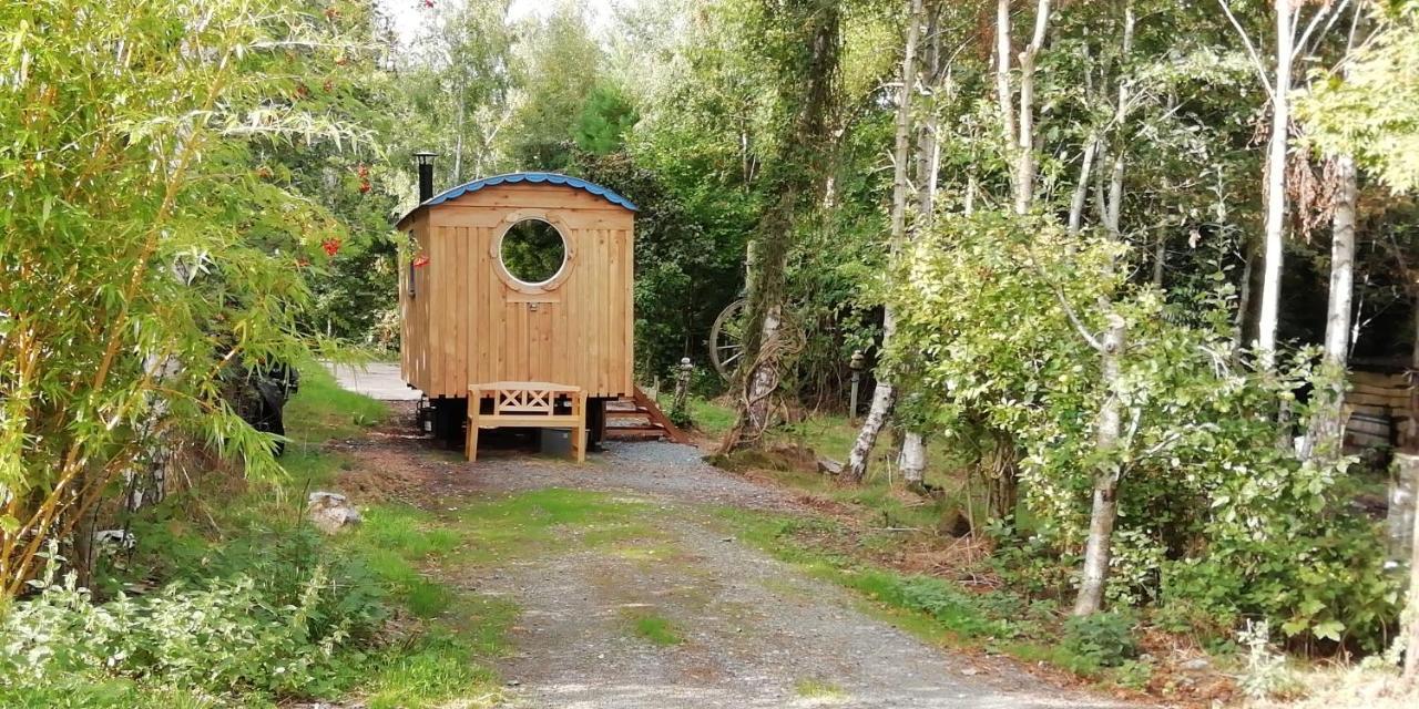 Sapphire forest garden shepherd’s hut Church Stretton Eksteriør billede