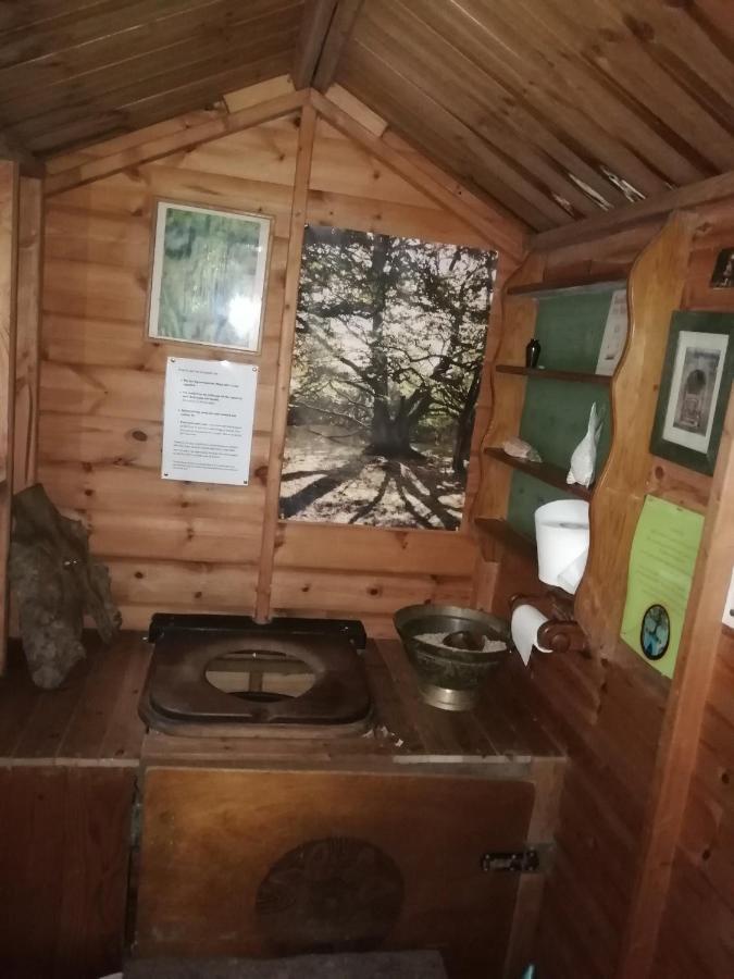 Sapphire forest garden shepherd’s hut Church Stretton Eksteriør billede
