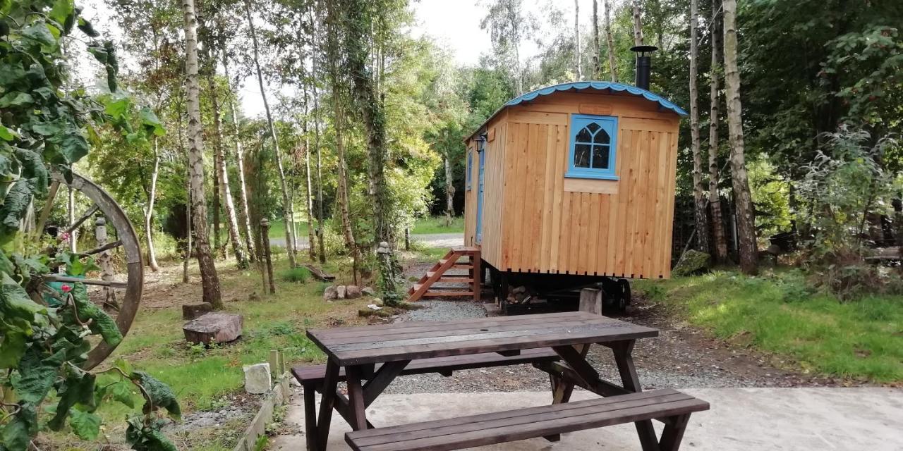 Sapphire forest garden shepherd’s hut Church Stretton Eksteriør billede