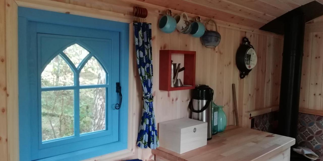 Sapphire forest garden shepherd’s hut Church Stretton Eksteriør billede