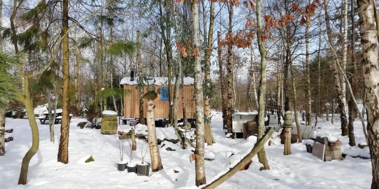 Sapphire forest garden shepherd’s hut Church Stretton Eksteriør billede