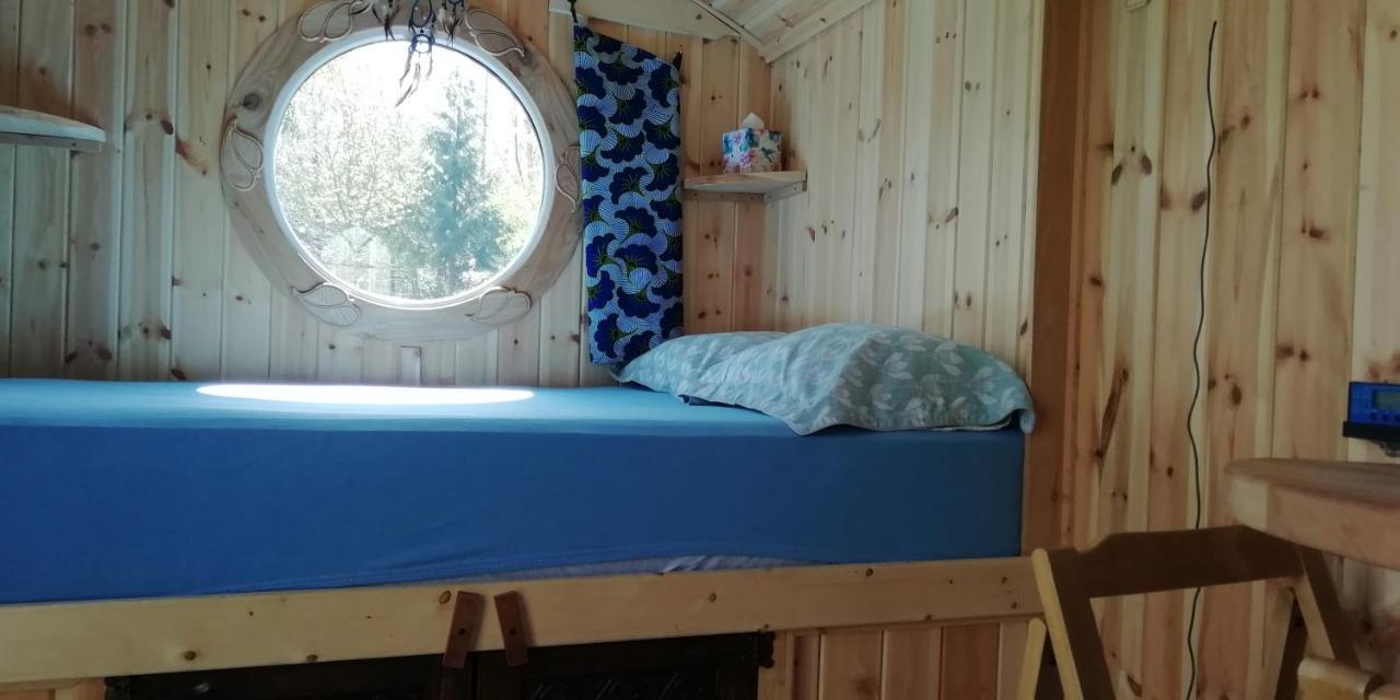 Sapphire forest garden shepherd’s hut Church Stretton Eksteriør billede